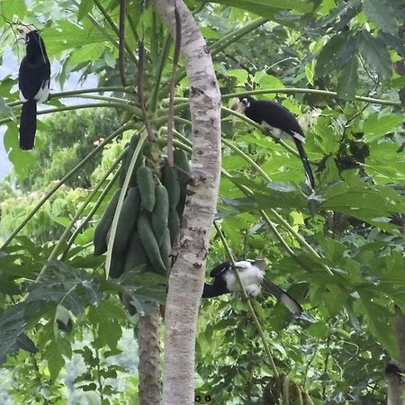 บ้านอิงเมยแคมป์ แก่งกระจาน Ban Phu Bon Экстерьер фото
