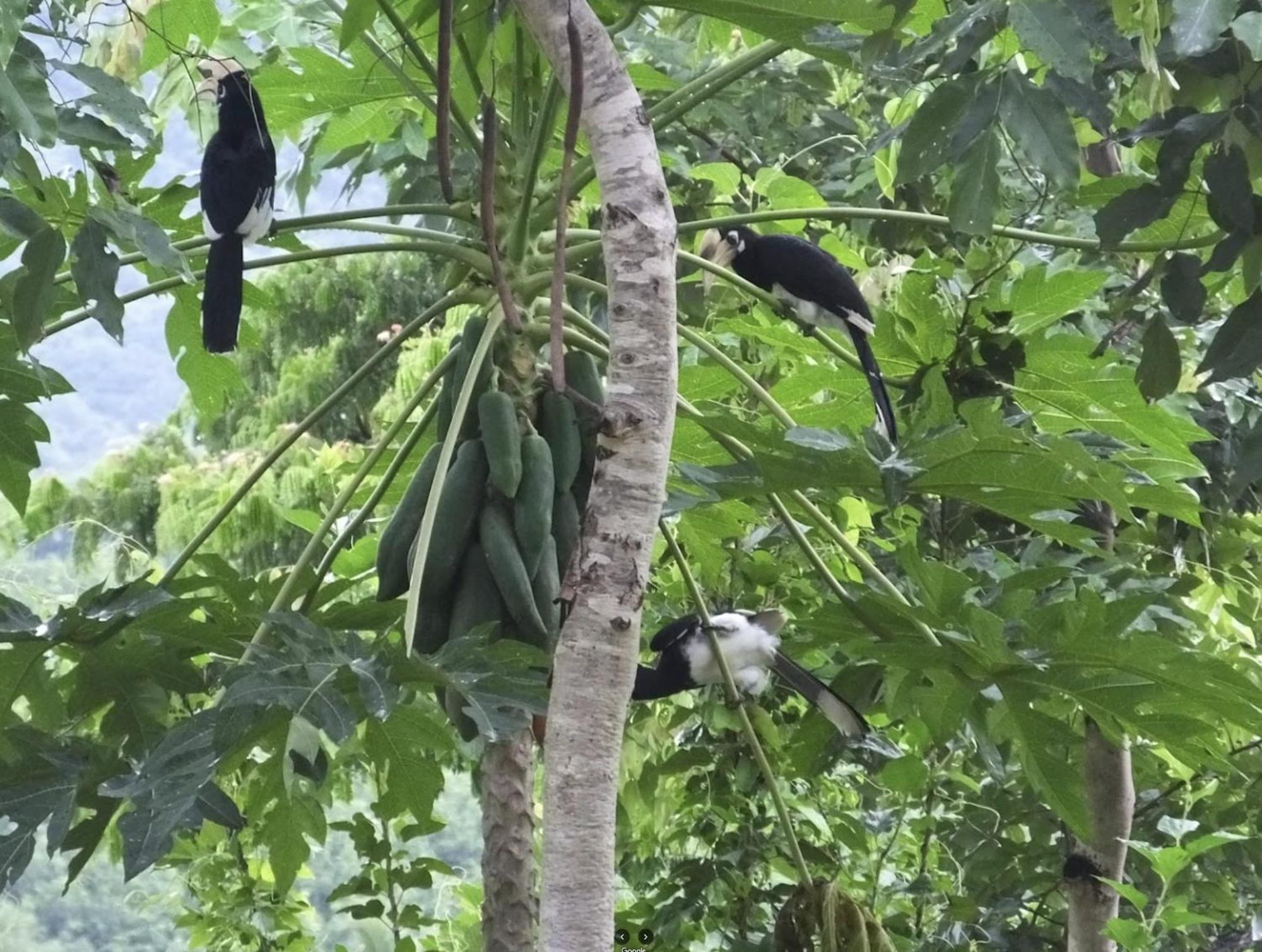 บ้านอิงเมยแคมป์ แก่งกระจาน Ban Phu Bon Экстерьер фото